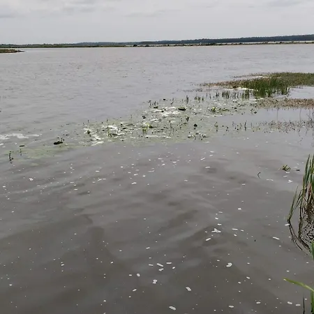 6 Person In Henne Vakantiehuis