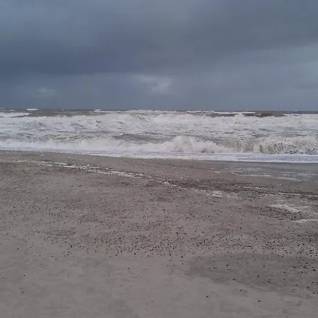 Vakantiehuis 6 Person In Henne