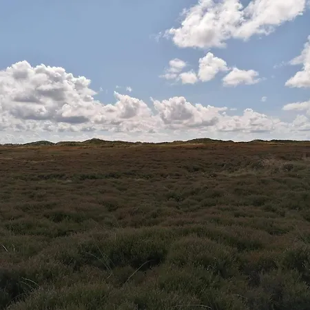 Vakantiehuis 6 Person In Henne Henne Strand