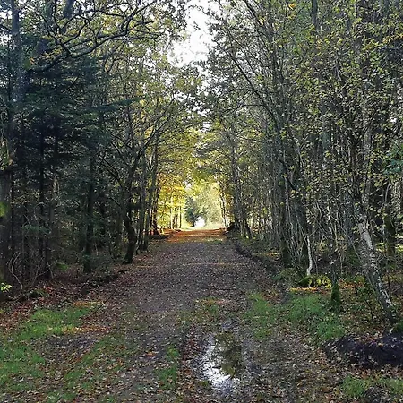 Vakantiehuis 6 Person In Henne *